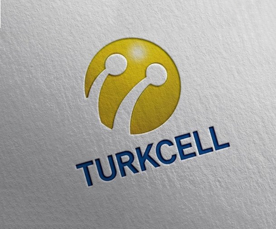 Digital Transformation & Minimizing Taxation Risks in e-Transformation and e-Accounting