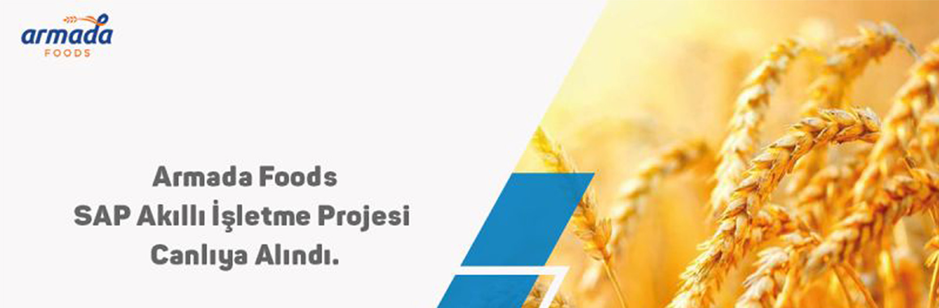 Armada Foods SAP Akıllı İşletme Projemiz Canlıya Alındı