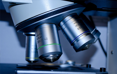 Nöroloji uzmanlarının online buluşma noktası Neuronlines yepyeni zengin içeriği ve Responsive Design yeni tasarımıyla yayında! 